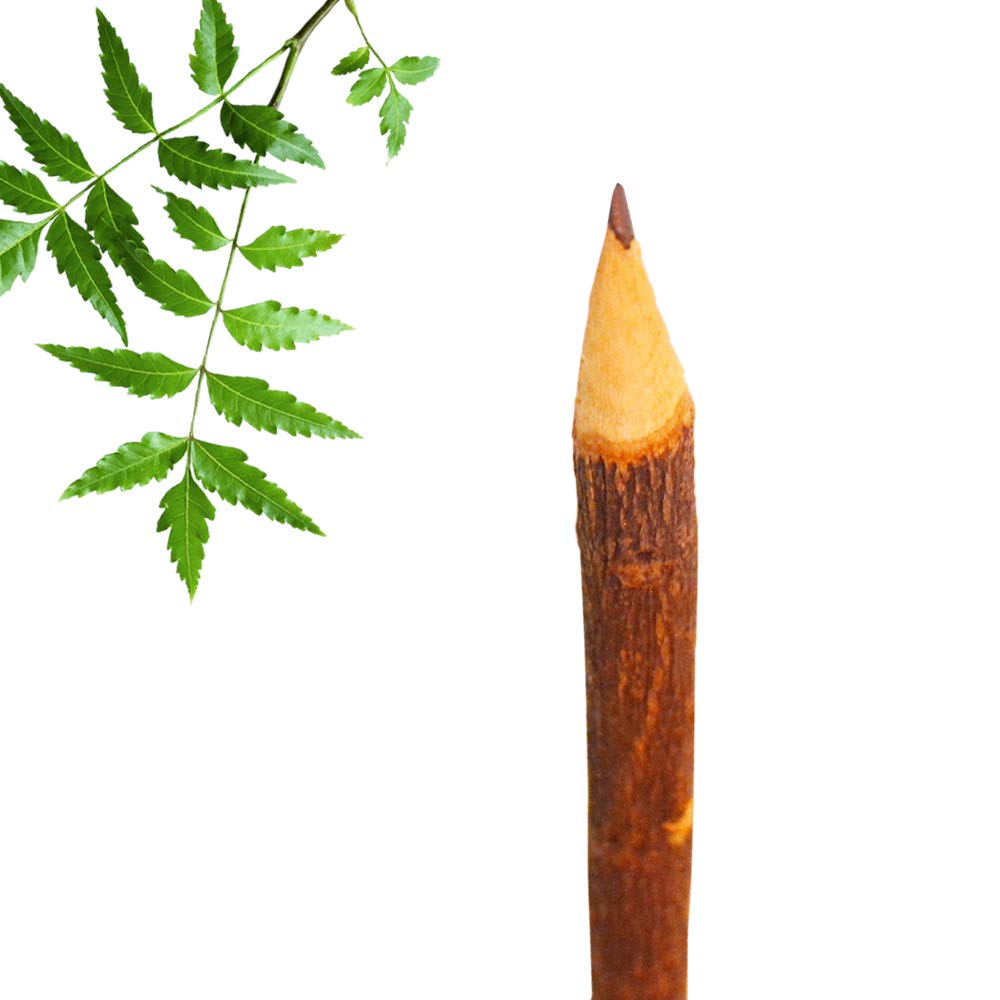 santarms Natural neem Wooden Pencil (18 cm) of neem Wood-for Kids,Girls, Boys -Best for Gifting