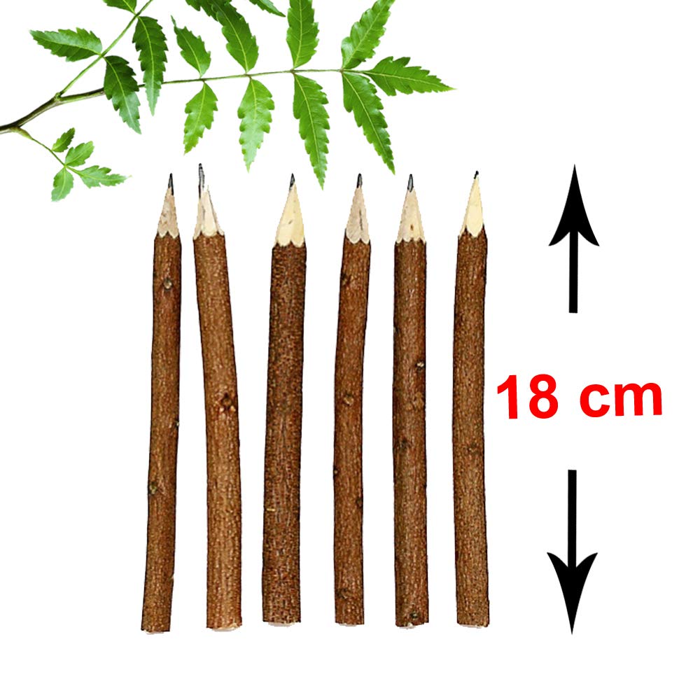 santarms Natural neem Wooden Pencil (18 cm) of neem Wood-for Kids,Girls, Boys -Best for Gifting