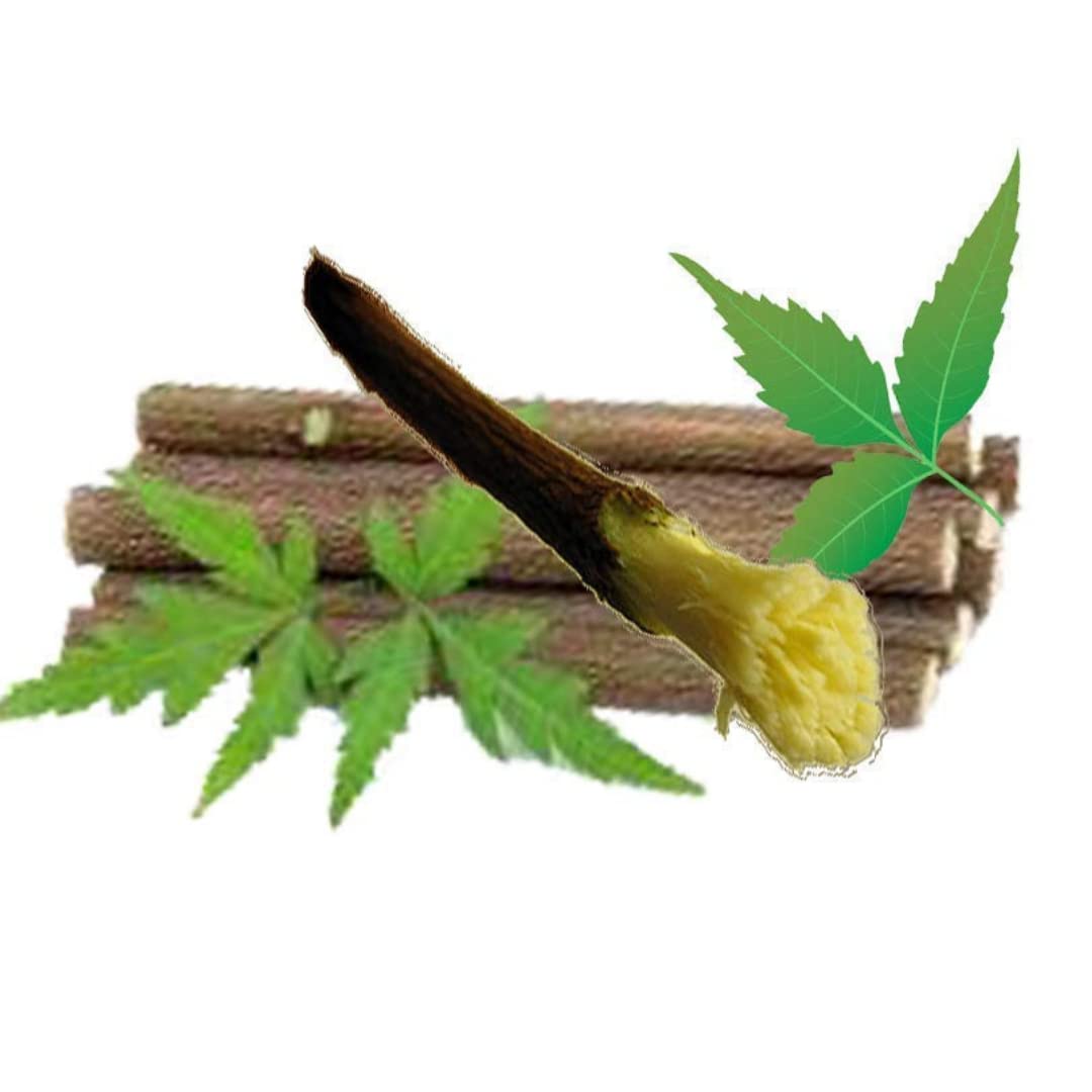 Santarms Ayurvedic Natural Organic Neem Datun Toothbrush Nim Tree Twigs Chew Sticks For Brushing Teeth Removes Bad Breath, Relieve Tooth Ache Teeth. Fresh Seed (Pack Of 25 Pieces)