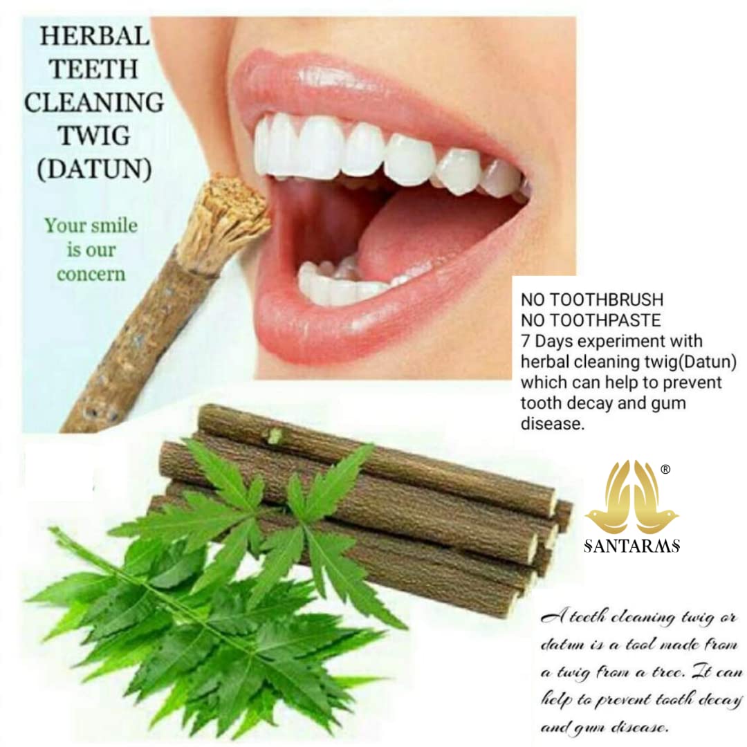 Santarms Ayurvedic Natural Organic Fresh Neem Stick Datun Toothbrush Nim Tree Twigs Chew Sticks For Brushing Teeth Removes Bad Breath PACK OF 25 STICKS