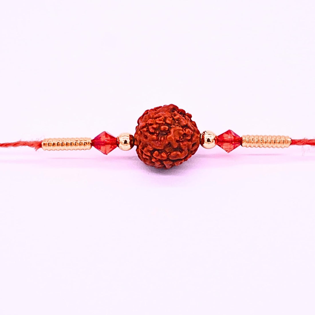 santarms Rakhi Celebration 2023: Handpicked Rakshabandhan Rakhis for Your Beloved Sibling pack of 2