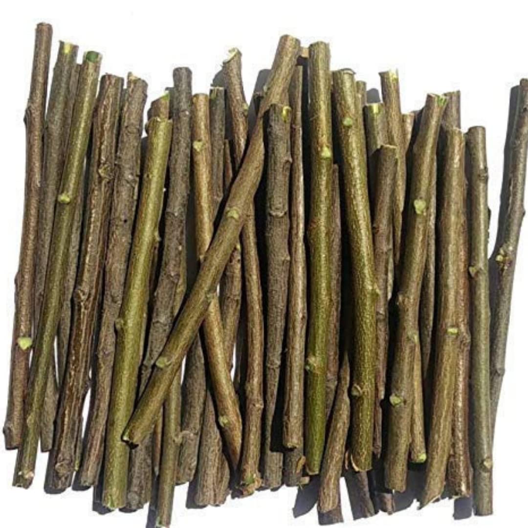 Santarms Ayurvedic Natural Organic Fresh Neem Stick Datun Toothbrush Nim Tree Twigs Chew Sticks For Brushing Teeth Removes Bad Breath PACK OF 25 STICKS
