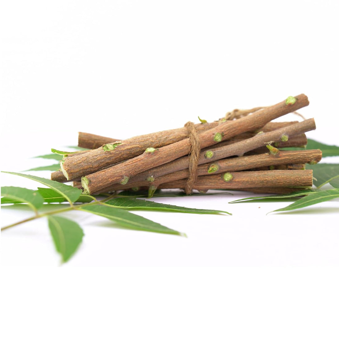 Santarms Ayurvedic Natural Organic Neem Datun Toothbrush Nim Tree Twigs Chew Sticks For Brushing Teeth Removes Bad Breath, Relieve Tooth Ache Teeth. Fresh Seed (Pack Of 25 Pieces)