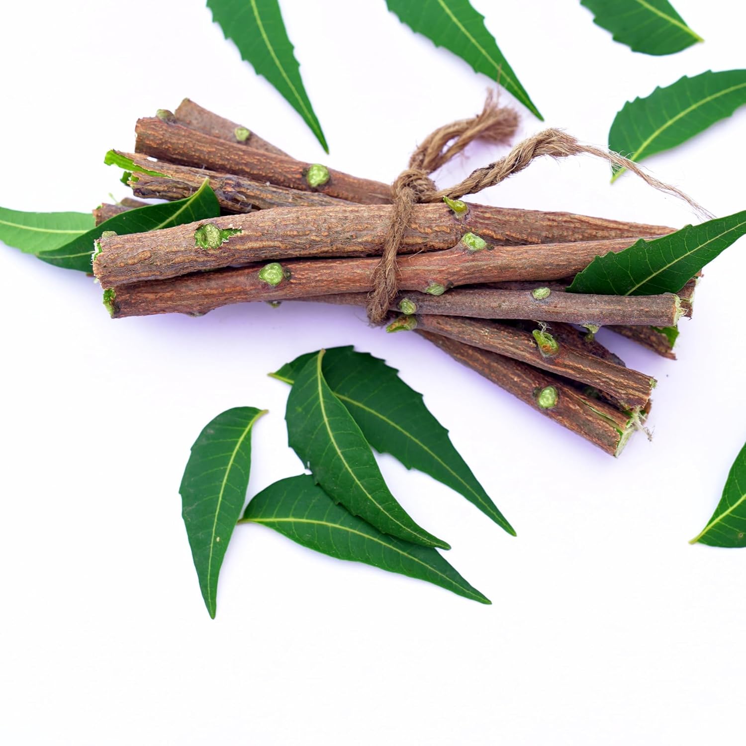 Santarms Natural Organic Neem Datun Fresh Quality Sticks For Healthy Teeth Ayurvedic Toothbrush Alternative Nim Tree Chew Sticks For Effective Brushing And Bad Breath Removal (25 Sticks)