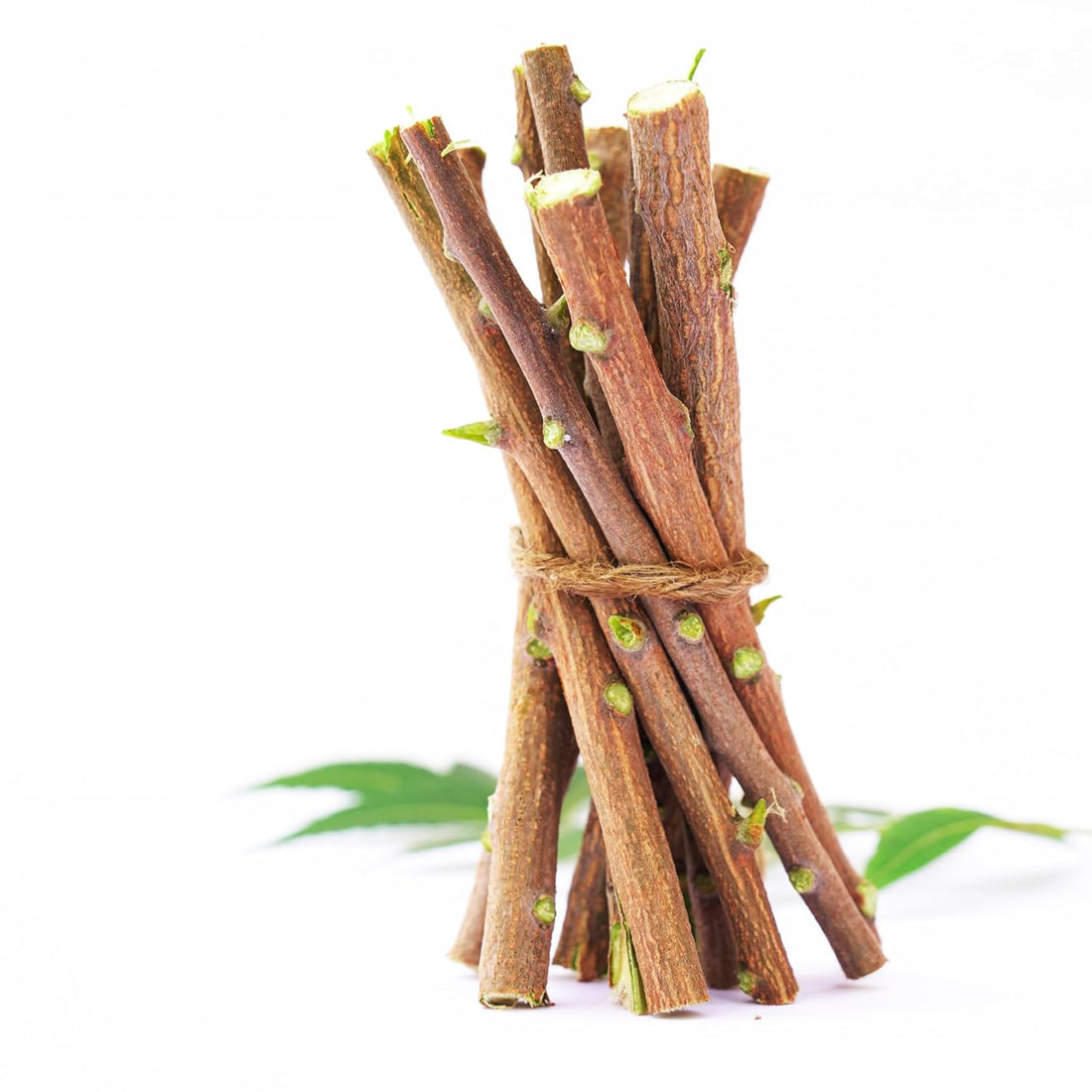 Santarms Natural Organic Neem Datun Fresh Quality Sticks For Healthy Teeth Ayurvedic Toothbrush Alternative Nim Tree Chew Sticks For Effective Brushing And Bad Breath Removal (25 Sticks)