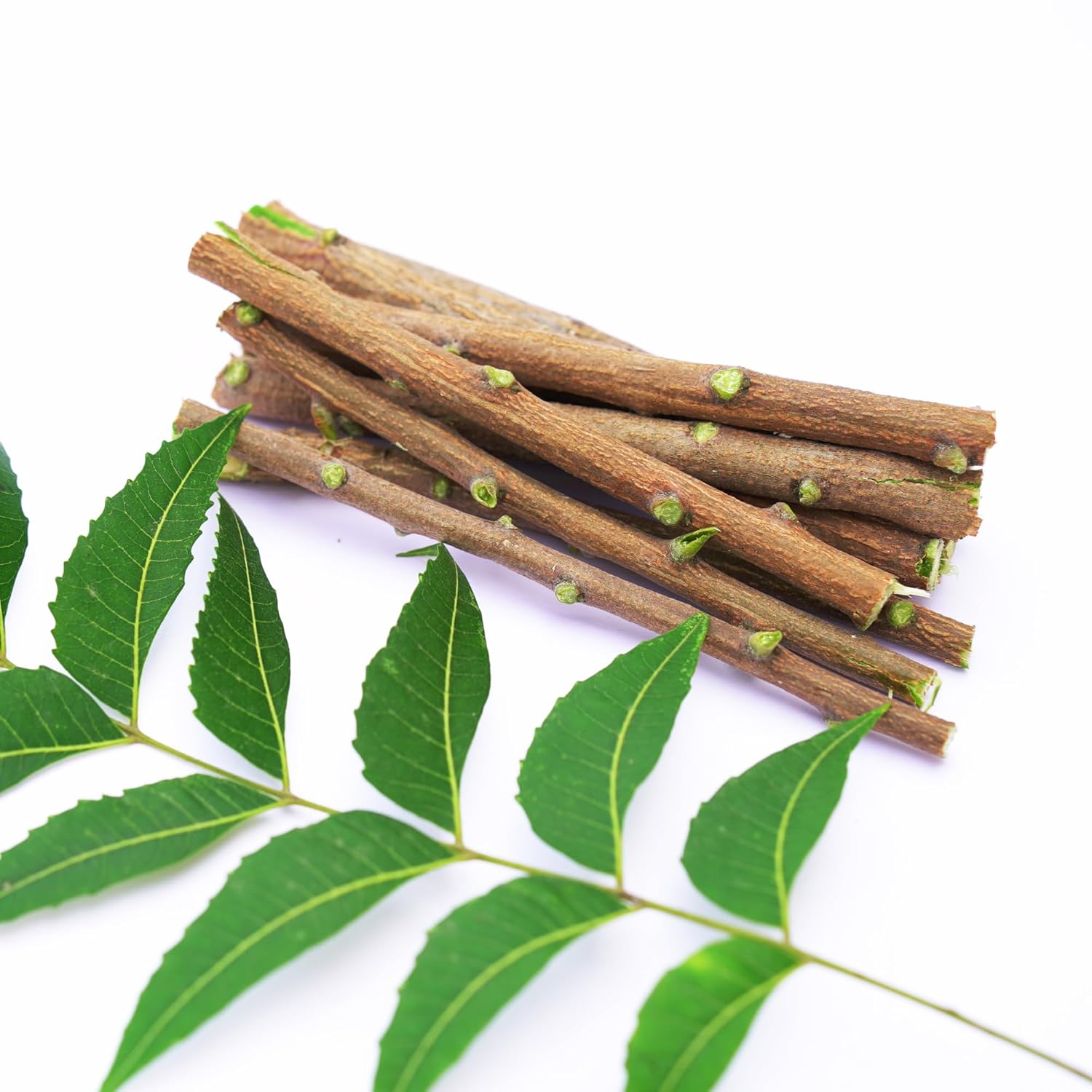 Santarms Natural Organic Neem Datun Fresh Quality Sticks For Healthy Teeth Ayurvedic Toothbrush Alternative Nim Tree Chew Sticks For Effective Brushing And Bad Breath Removal (25 Sticks)