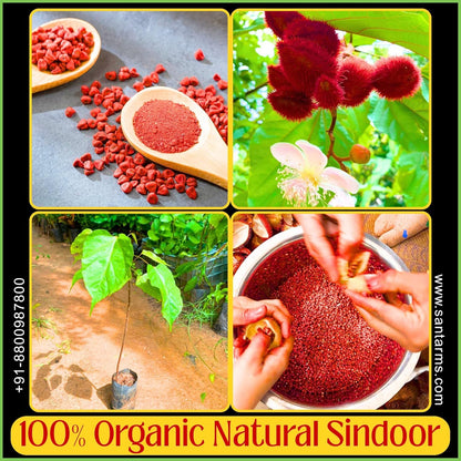 Santarms Orange and Red Sindoor Powder for Women, Organic Natural Laal and Hanuman Ji Pila Kumkum for Pooja Use, Shringar & Rituals - 50gm Each (100gm)
